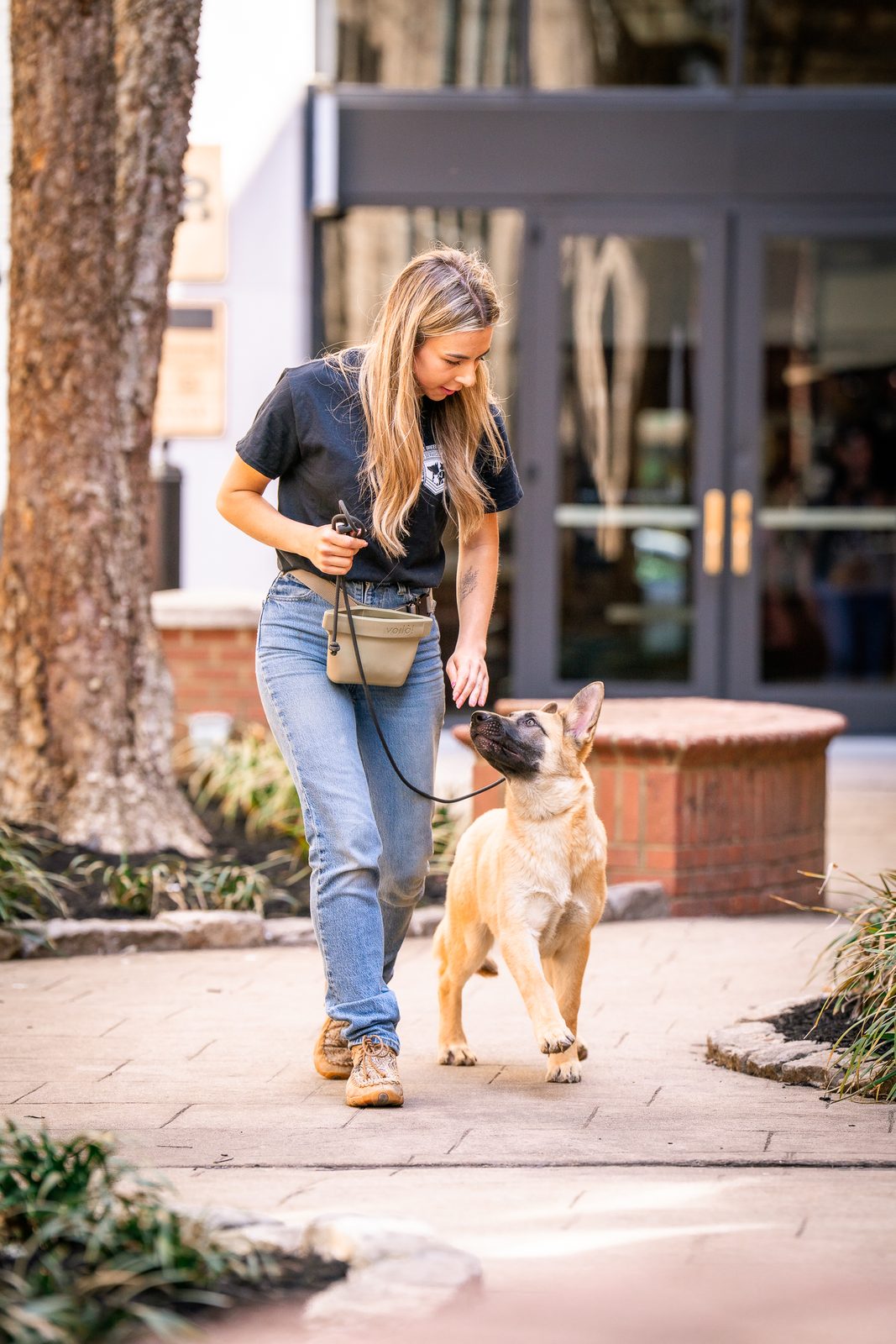 A woman practicing leash work with a young dog on a brick plaza