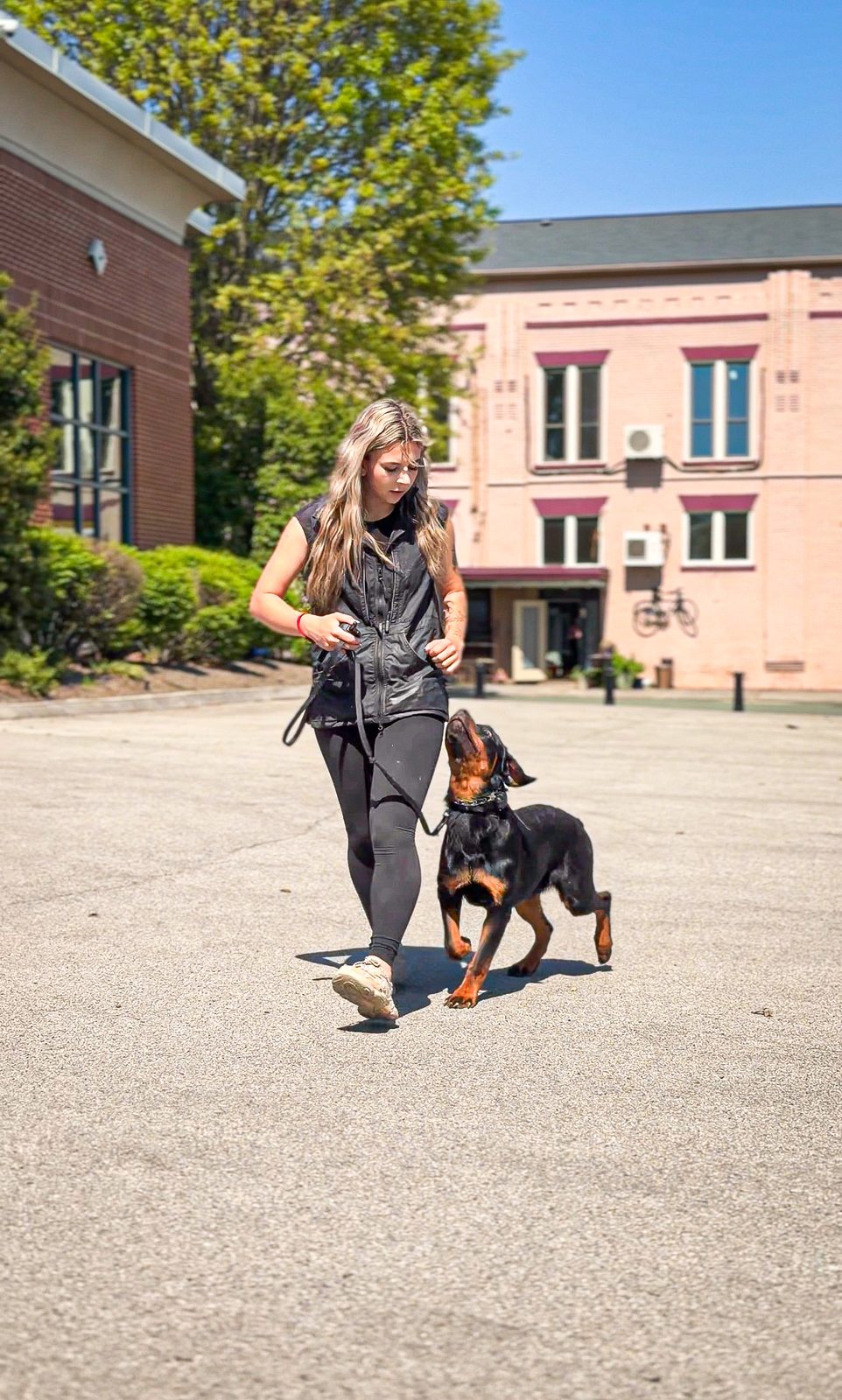 A woman walking a puppy on a leash across a sunny paved square