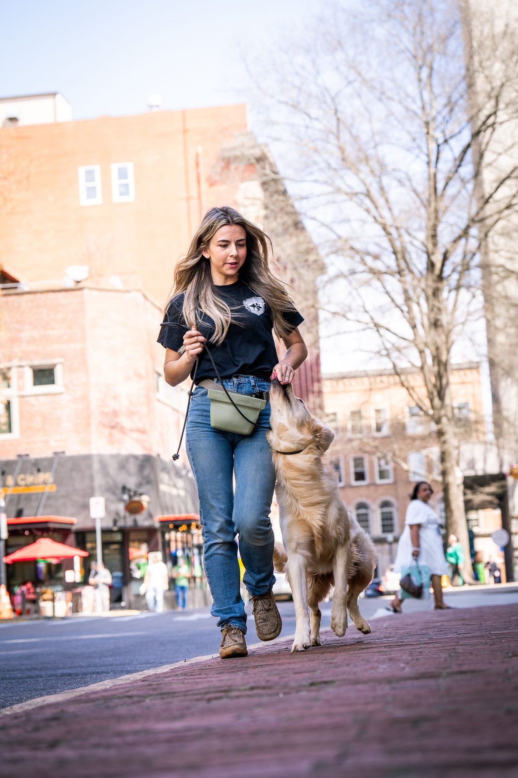 A woman walking a young dog on a leash down a brick street